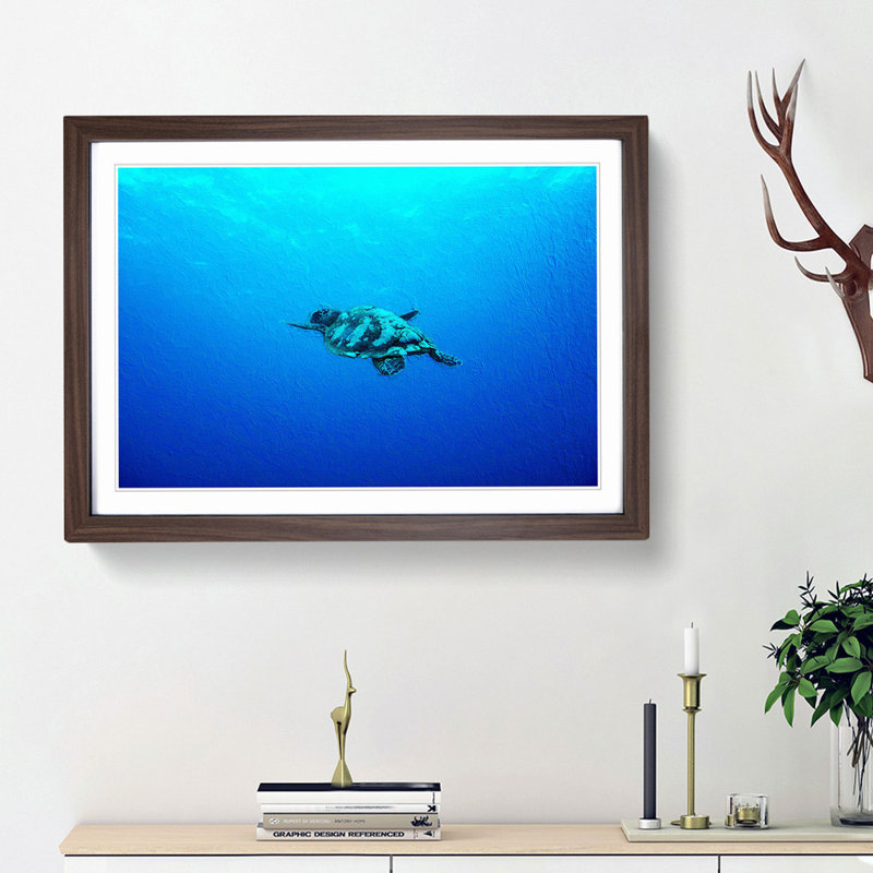 Swimming Turtle - Picture Frame Painting Print, 27cm H x 36cm W x 2cm D, Walnut Framed