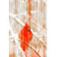 Parvez Taj - Wrapped Canvas Print-16671052