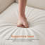 Chaise d'appoint rembourrée Halcott-648802663
