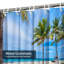 Paradise Beach, Floride, journée magnifique, palmiers tropicaux avec 12 crochets-126431947
