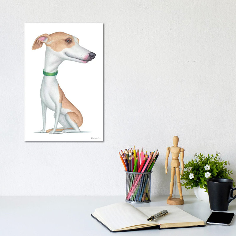 Whippet, H 12 po x l 8 po x P 0,75 po