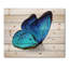 Papillon bleu vibrant - impression moderne sur bois de pin naturel-58678148