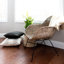 Fauteuil demi-tonneau de 25,19 po Galen