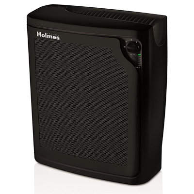 Purificateur d'air Holmes pour 349