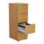 Buariki 46.4cm Wide 4 -Drawer File Cabinet-29582915