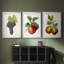 Fruit antique 8 - impression encadrée de qualité supérieure sur mesure mat - 3 pièces-2075756782-2075756778