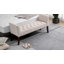 Banc Dziadon-258709019