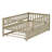 Buchheit Twin Daybed with Trundle by Red Barrel Studio®-1011438310