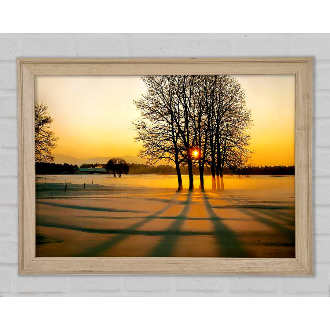 Gerahmtes Leinwandbild Winter Tree Sunrise Golden