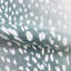 Wiley Fabric-40169655