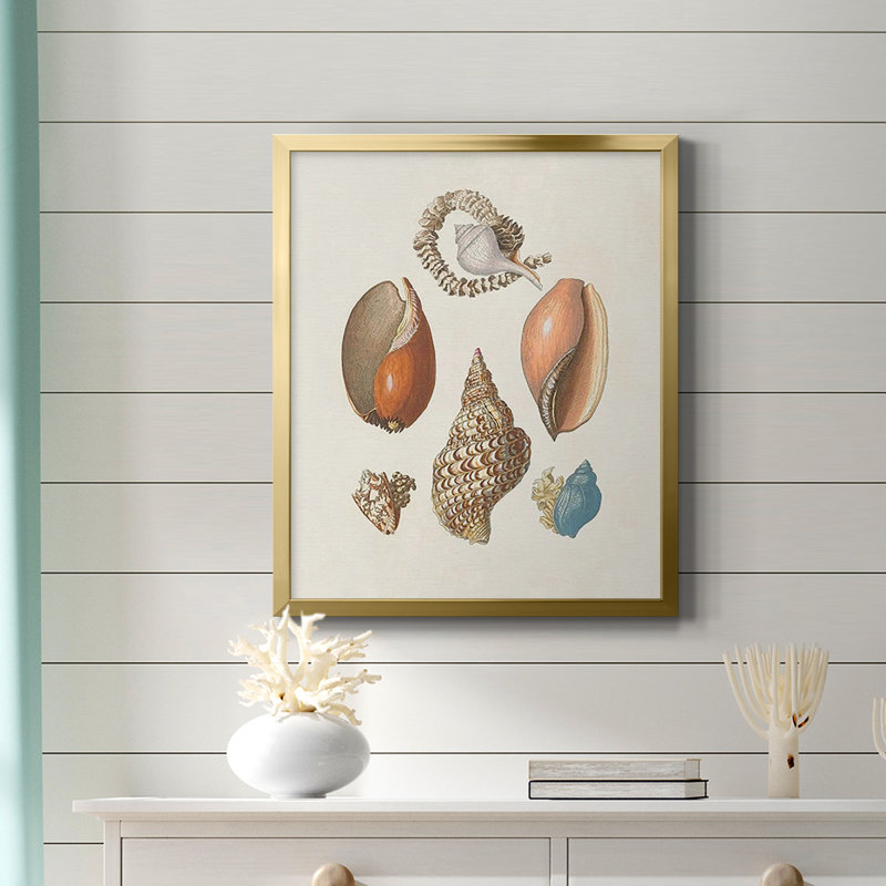 Knorr Shells & Coral I, toile encadrée de qualité supérieure - prête à être accrochée, Or, H 20 po x l 16 po