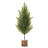 Bushy Pine Tree On A Log Stump Faux Plants And Trees