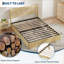 Bed-1916917331