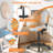 Aldous 360° Swivel Writing Office Task Chair with Mesh Back and Adjustable Height-507603424