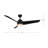 Thalia 54'' Ceiling Fan with LED Lights-95320081-95320082