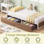 Single Size House Bed Heavy-Duty Metal Platform Bed with 2 Drawers-1962045274
