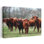 «Gathered Together», art contemporain de vache