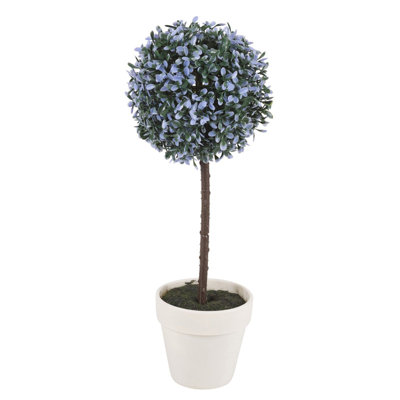 Olive Tree Tree in Pot