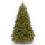 Sapin Jersey Fraser de taille moyenne avec lumières à DEL bicolores-2129803269