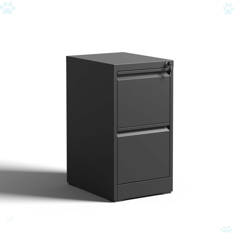 2 Drawer Metal Vertical File Cabinet With Lock For Office Home, Black