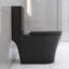 Toilette allongée une pièce à double chasse 1,1 / 1,6 GPF noir mat 1000g, noir mat-129933538