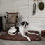 Expedition Orthopedic Polyester Pet Bed-2033301383