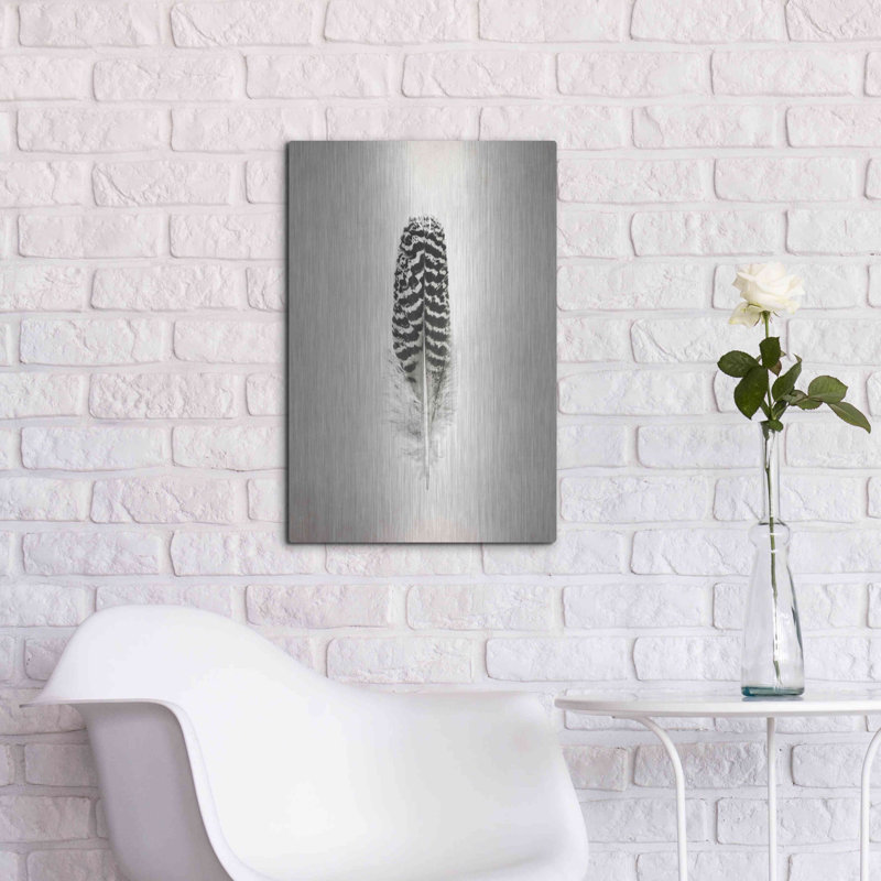 «Feather I B&W» par Debra Van Swearingen, H 24 po x l 16 po