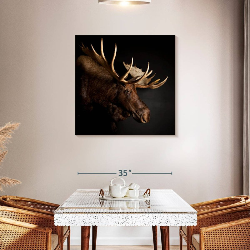 Brampt Antlered Moose, 36" H x 36" W