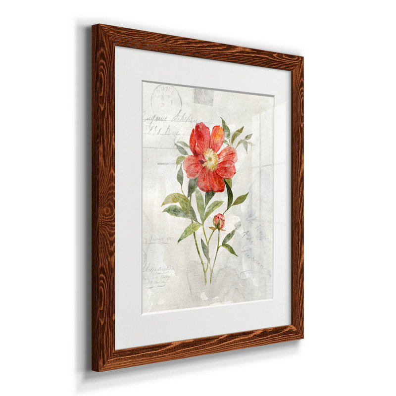 Lin pivoine - Reproduction d'art graphique sur papier encadré, H 20 po x l 17 po x P 1,5 po, Érable