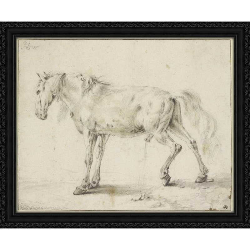 Peeing horse
