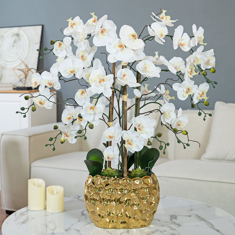 Arrangement floral orchidée phalaenopsis