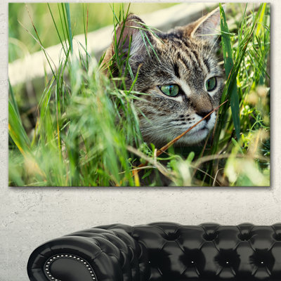 «Lovely Kitten in Grass», reproduction de photo sur toile tendue