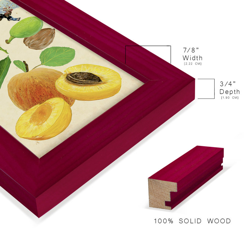 «Apricot Study I», reproduction d'art sur papier, Rouge, H 6 po x l 4 po x P 1 po