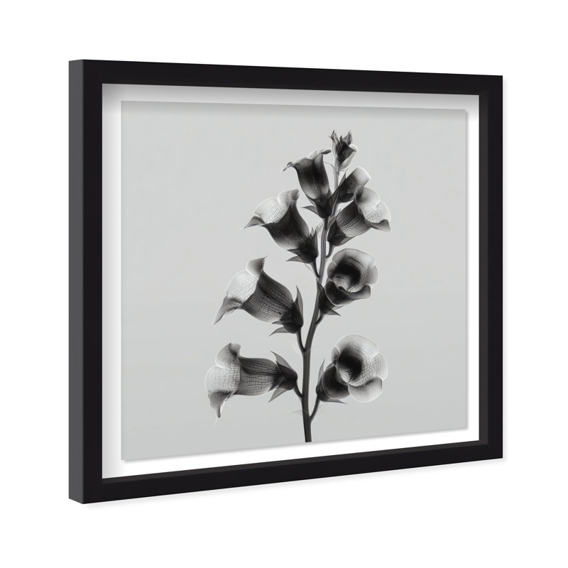 Ossified Petals I Shadowbox Floral & Botanical Print by Oliver Gal, Black Frame, 12 x 12, 13.5"H x 13.5"W, Black Shadowbox