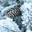 Arbre de Noël 2 pi-975274497