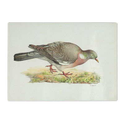 Tempered Glass Common Wood Pigeon by Von Wright Chopping Board