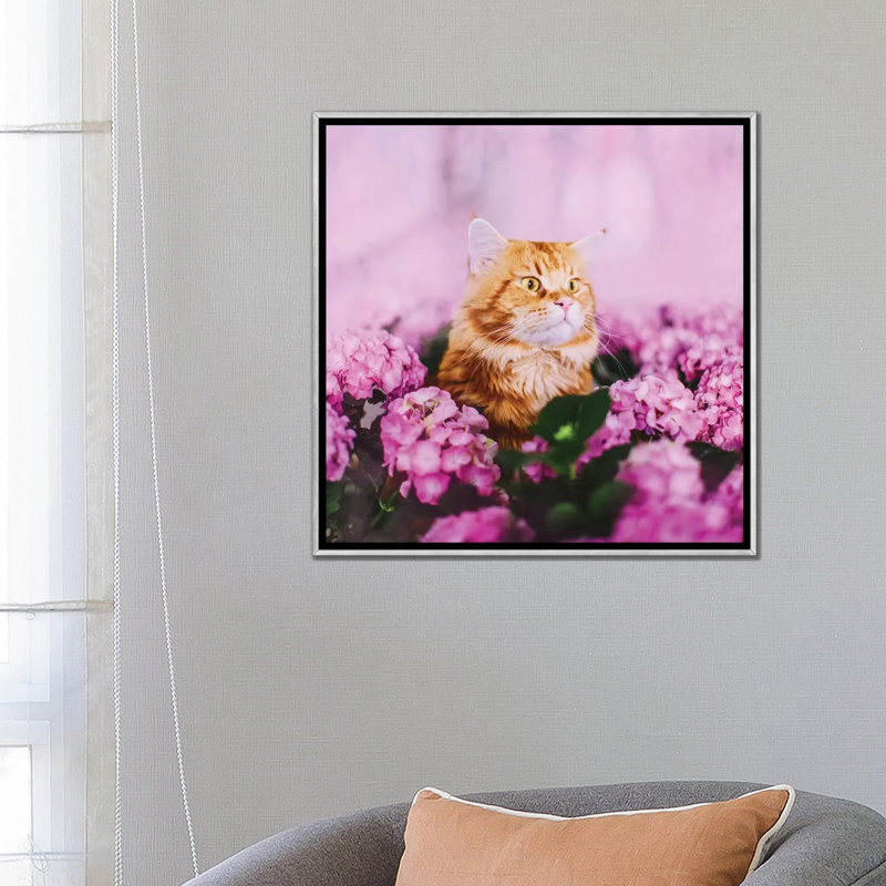« What » par Hobopeeba-reproduction de photo, Pas de tapis, H 26 po x l 26 po x P 1,5 po, Toile avec cadre argenté