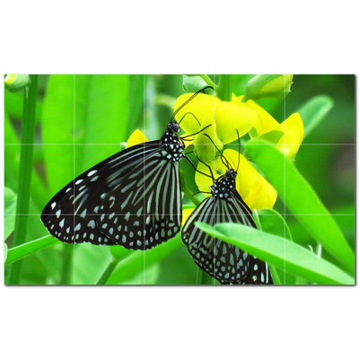 Butterfly Photo 4.25'' x 4.25'' Satin Ceramic Decorative Mural