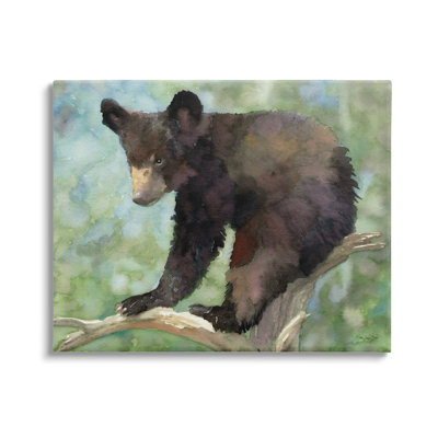 «Bear Cub Forest Tree Wildlife» par Stellar Design Studio - impression sur toile tendue