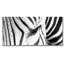 Eye Of The Zebra Print-1073227555