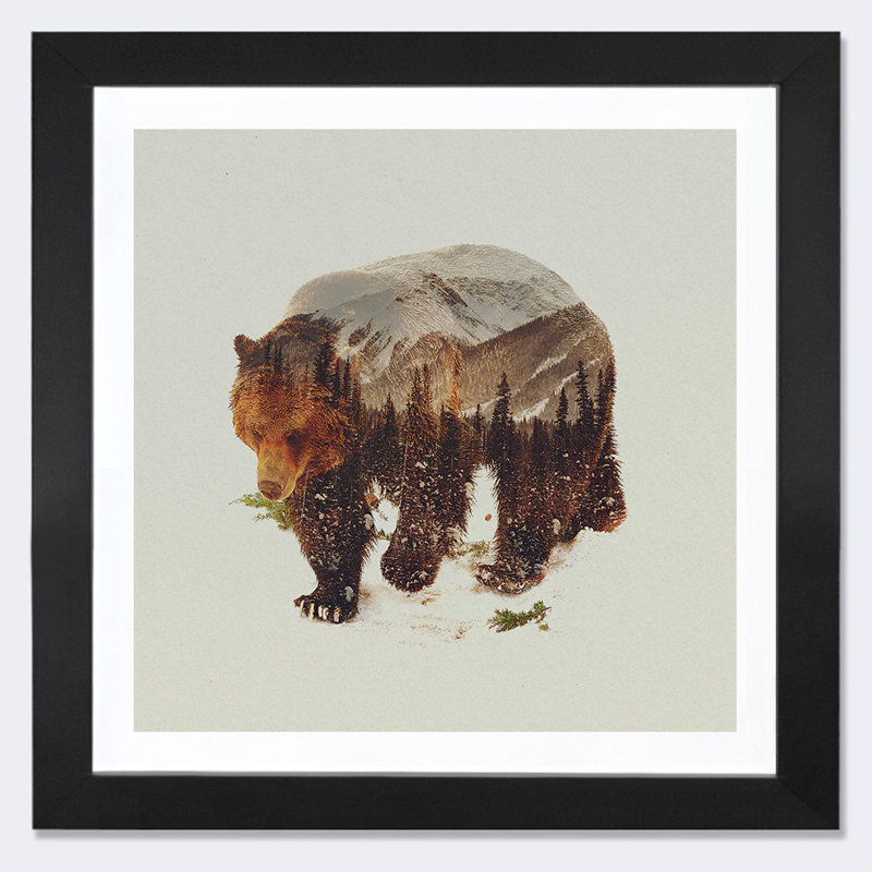 « bear i », impression, H 16 po x l 16 po x P 1 po, Papier encadré noir