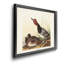 Red Headed Duck - reproduction d'art sur toile encadrée-1528513472-1528513532