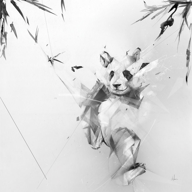 « panda », impression sur toile tendue, H 18 po x l 18 po x P 1,5 po, Toile tendue, Pas de tapis