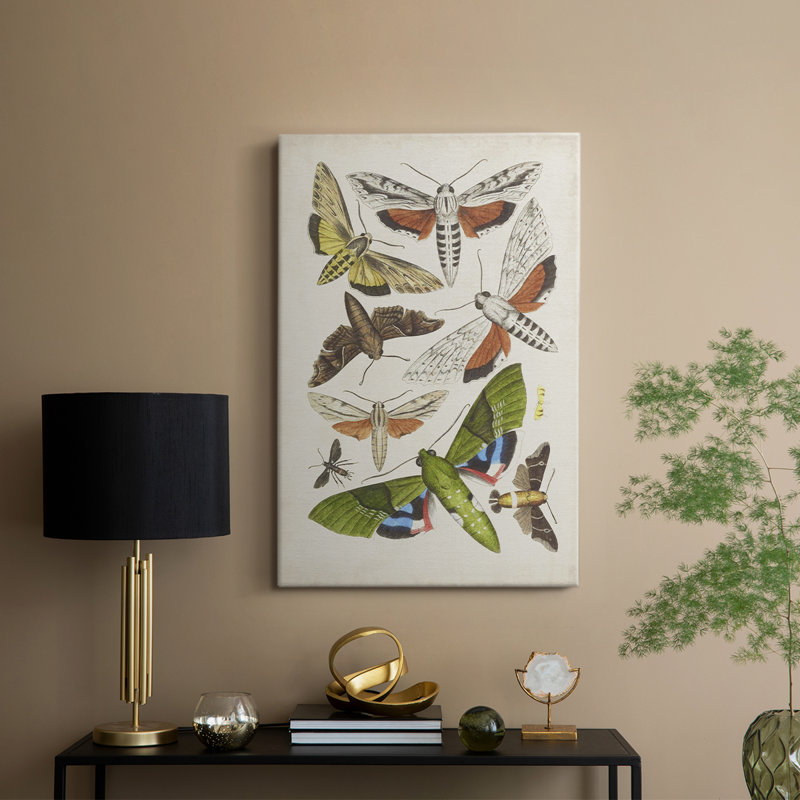 Mites antiques II - galerie Cavas sur mesure, H 18 po x l 12 po