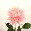 Arrangement floral 28 po Dahlia-816468431