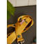 Busy Bee Printed Pet Lead L