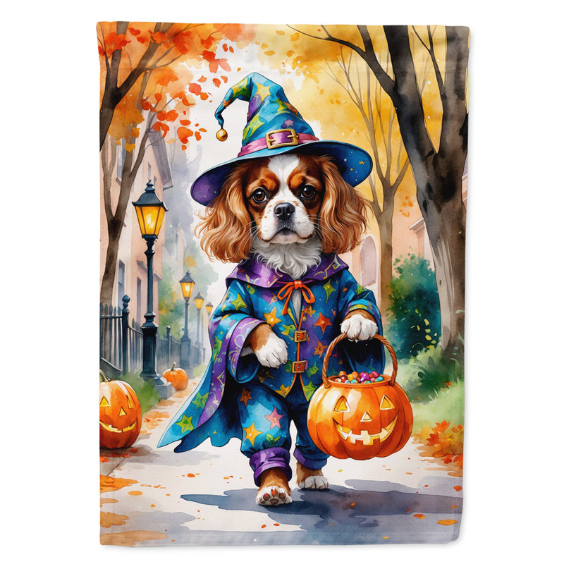 Drapeau du jardin Mastiff, Épagneul Cavalier