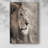 Leo -Gallery Wrapped Cavas-1649638283