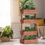 Carmelitta Wood Planter Box