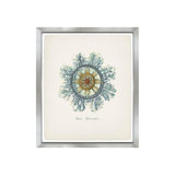 Nautical Art IV Print by Sofia Fox